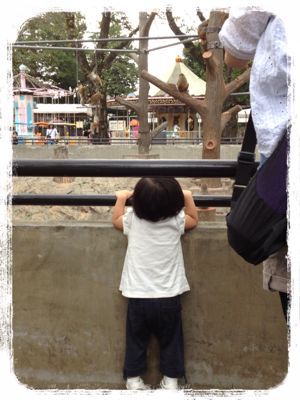 動物園でヨガ!_e0258469_7154074.jpg