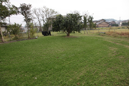 c0077280_20424841.jpg
