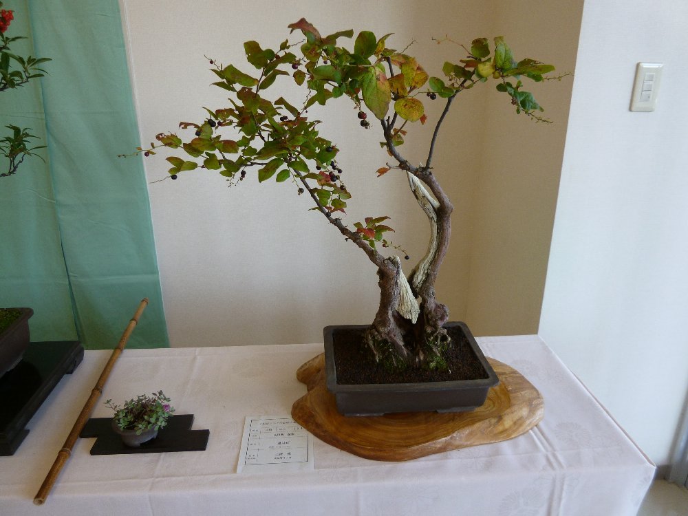 第28回上越シニア展!_e0065084_17301911.jpg