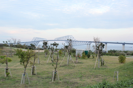 海の森サンセットツアー_c0226487_1304273.jpg