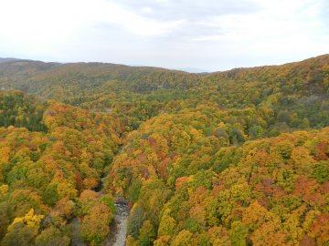 f0205887_19103588.jpg