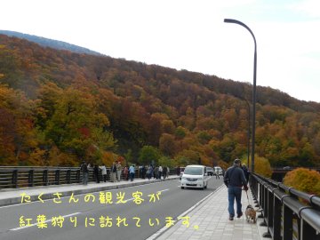 f0205887_191221.jpg