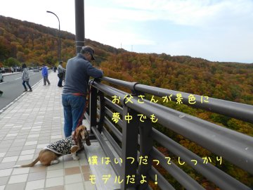 f0205887_19122331.jpg