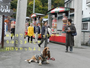 f0205887_19301949.jpg
