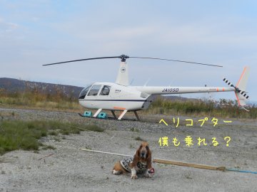 f0205887_1934031.jpg