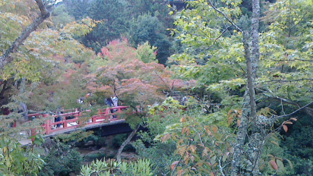 a0233991_21152243.jpg