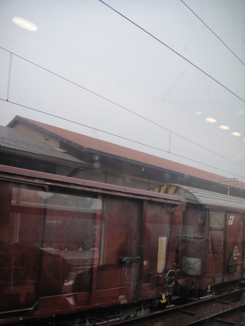 e0203793_8101373.jpg