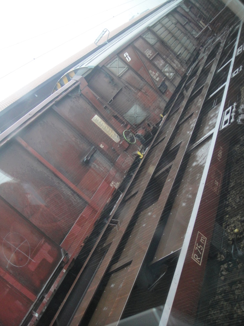 e0203793_8173712.jpg