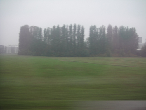e0203793_82618.jpg