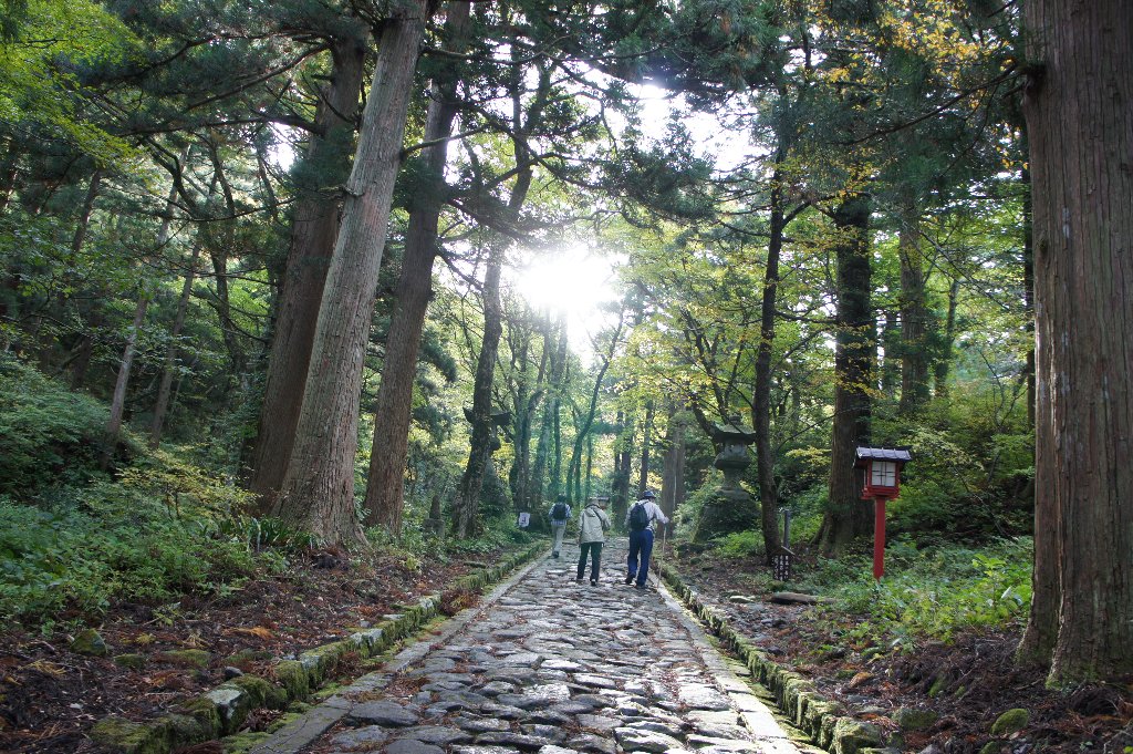 大　山　紅　葉　登　山　～　！_a0181194_436101.jpg