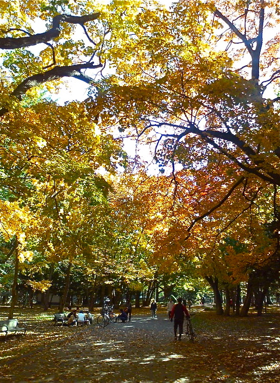 b0199097_133661.jpg
