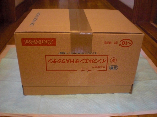 c0241498_2341833.jpg