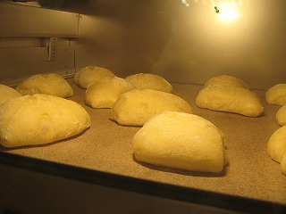 f0163298_227459.jpg