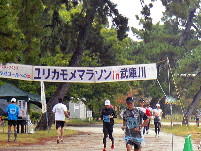 b0108100_1644546.gif