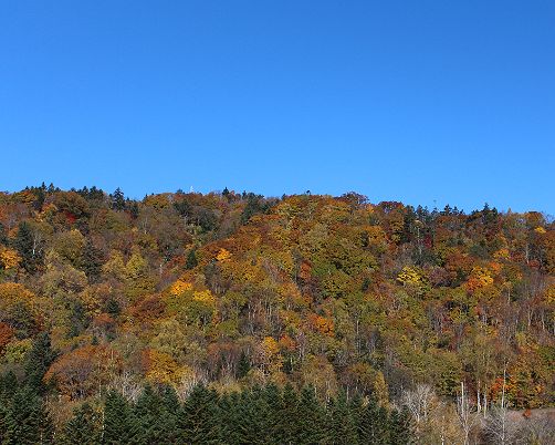 c0155902_9404447.jpg