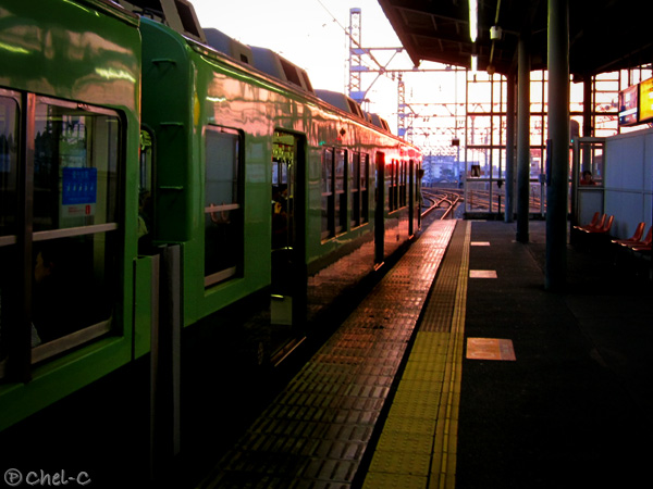 a0154706_111714.jpg