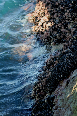 f0041606_16104427.jpg