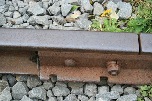 d0119909_10503727.jpg