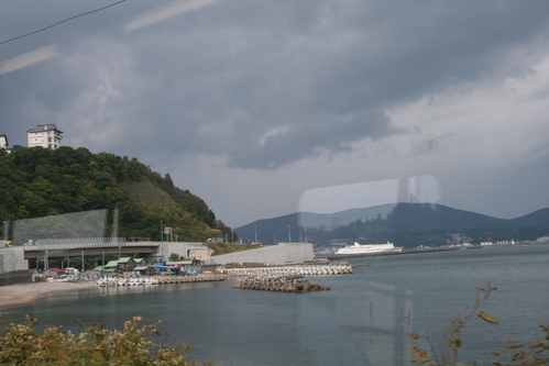 d0119909_1053858.jpg