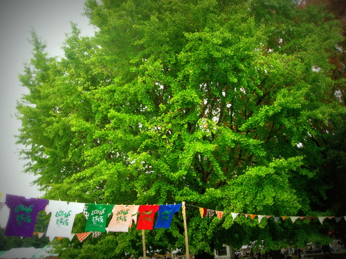 d0242112_77851.jpg