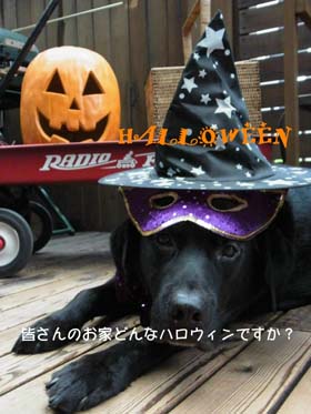 ★★★ＨＡＬＬＯＷＥＥＮ～ハロウィン・パ～ティ♪準備ＯＫ？_b0214713_17331857.jpg