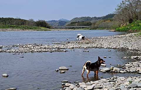 a0094015_17494649.jpg