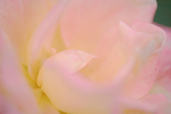 b0224616_1753366.jpg