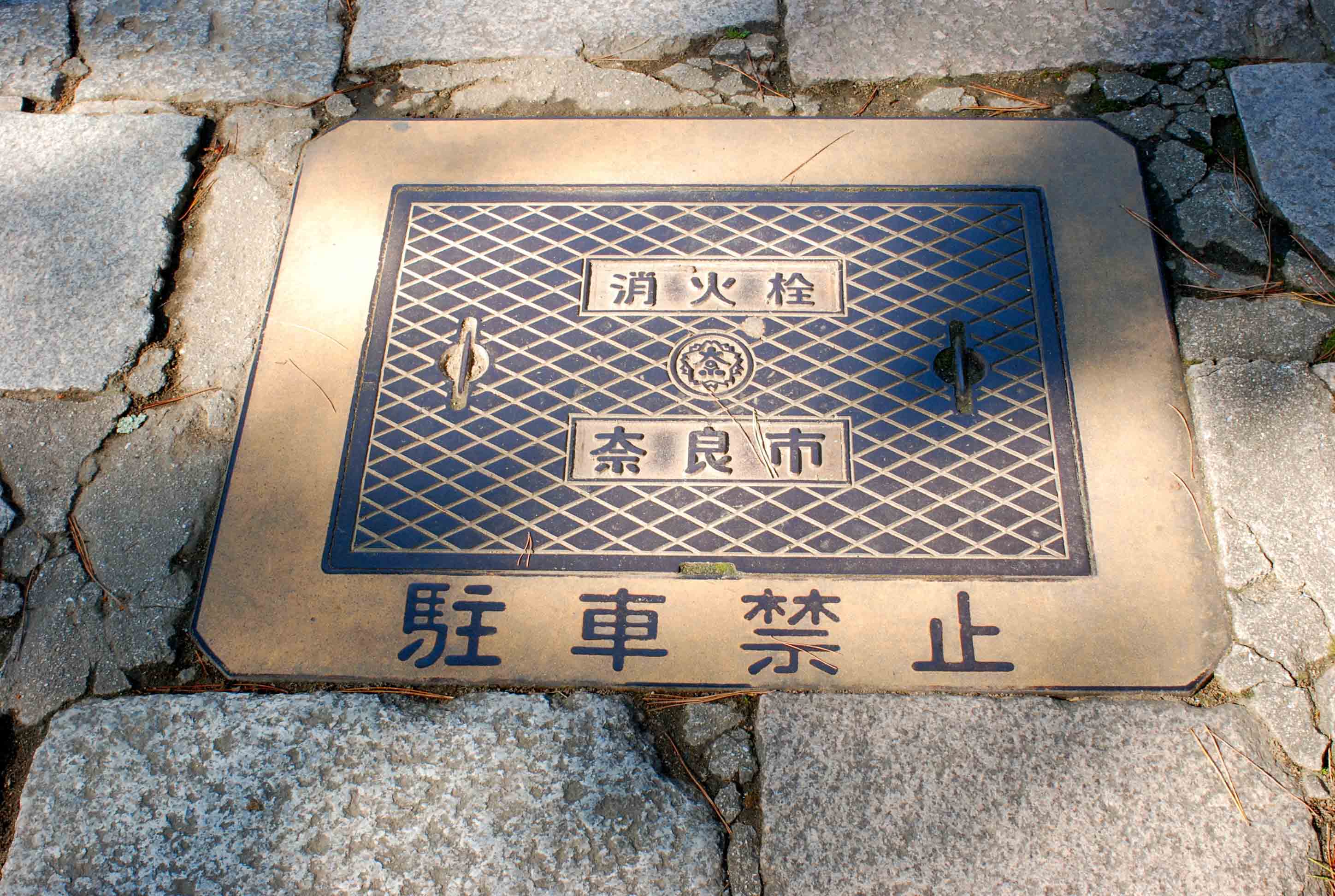 奈良で_e0175918_23584194.jpg