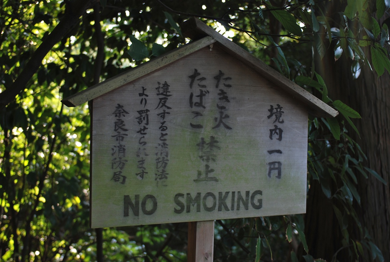 奈良で_e0175918_235906.jpg