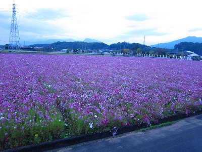 e0224118_21131558.jpg