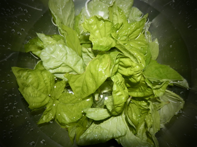 「自然農な お野菜」の販売始めました♪_a0125419_15591873.jpg
