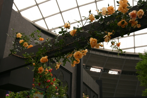 e0128322_07139.jpg