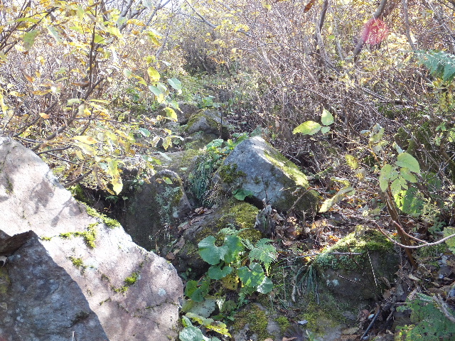 c0141223_1284559.jpg
