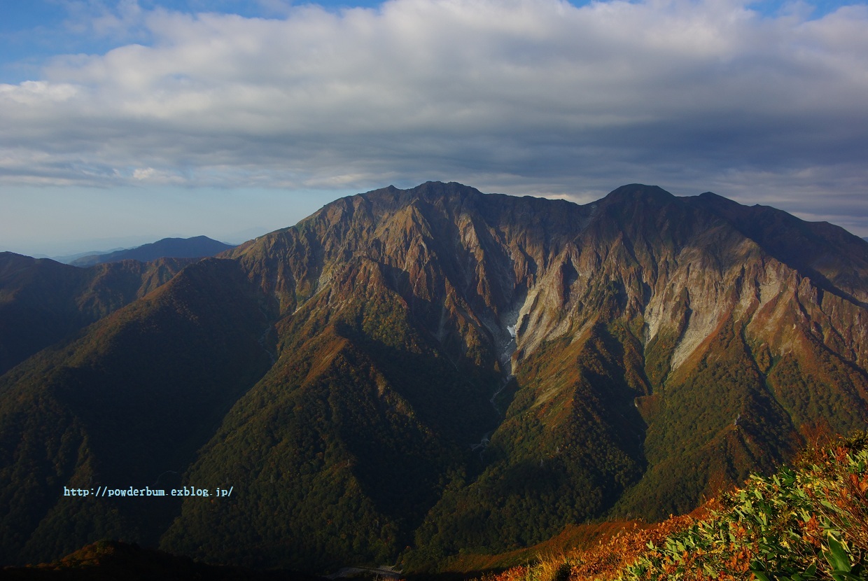 b0062024_7341027.jpg