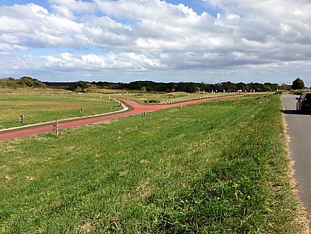 c0181127_16442030.jpg