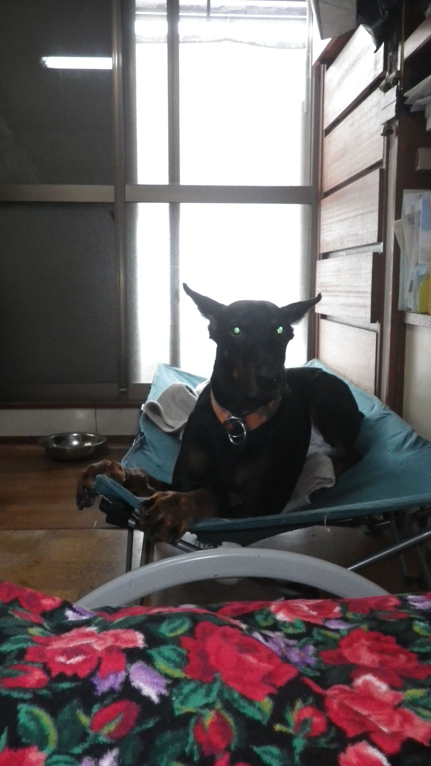 弱虫_c0162128_822153.jpg