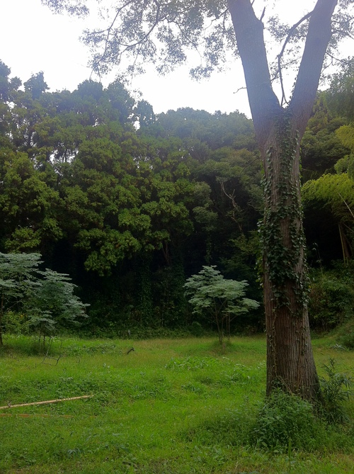 d0060828_22333795.jpg