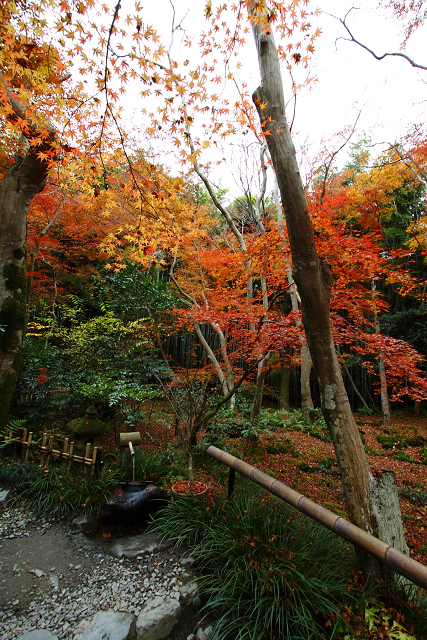 紅葉の嵯峨野巡り －湯どうふ ちくりん、祇王寺－_b0169330_0313438.jpg