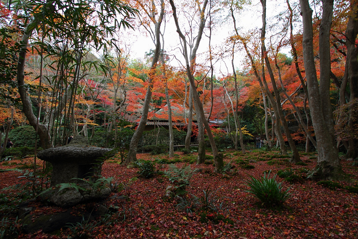 紅葉の嵯峨野巡り －湯どうふ ちくりん、祇王寺－_b0169330_033144.jpg