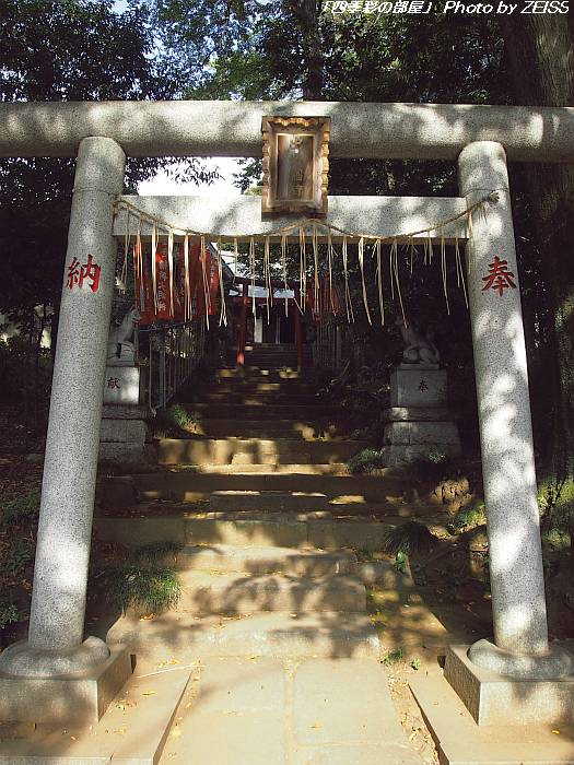 a0195032_106107.jpg