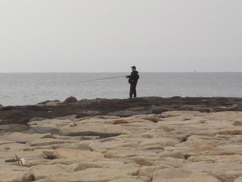 茅ヶ崎海岸散歩....ピンギスの投げ釣り盛況!_b0137932_10464110.jpg