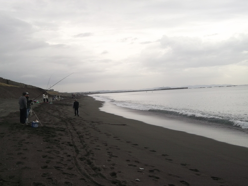 茅ヶ崎海岸散歩....ピンギスの投げ釣り盛況!_b0137932_10474372.jpg