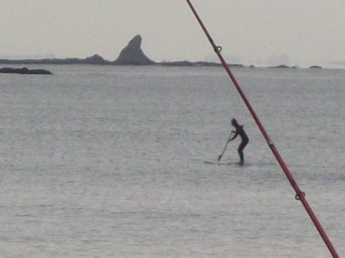 茅ヶ崎海岸散歩....ピンギスの投げ釣り盛況!_b0137932_1049378.jpg