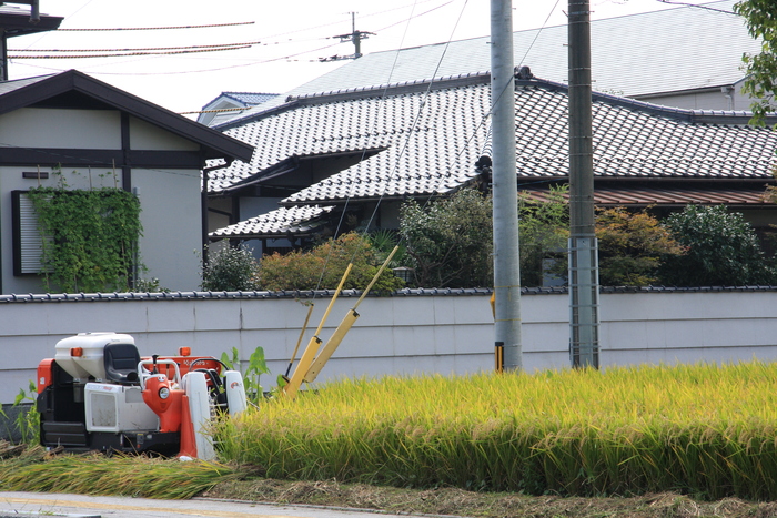 EOSで太宰府散歩_d0079432_9132988.jpg
