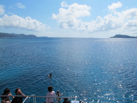 10月28日久しぶり、この天気と海でケラマダイビング_c0070933_22481481.jpg