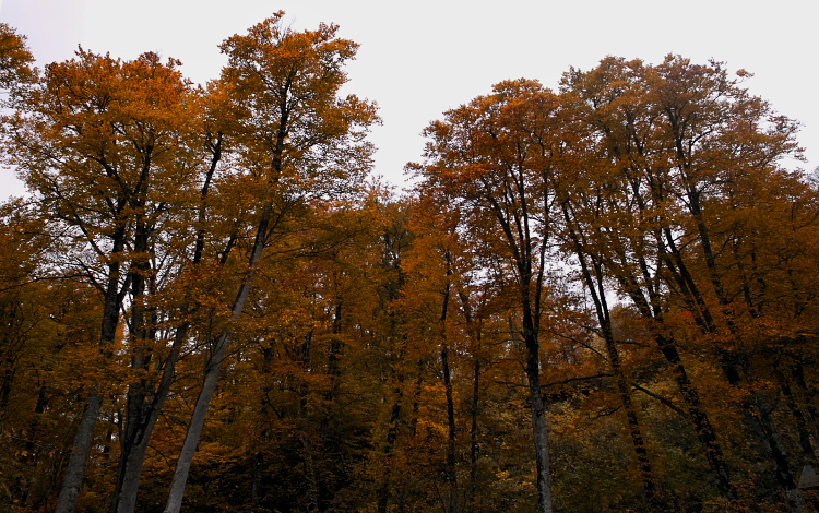 b0237035_19293792.jpg