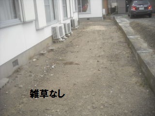 f0031037_1973949.jpg