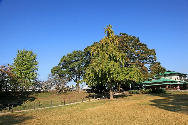 a0242438_84033.jpg
