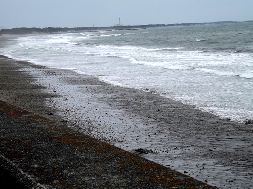 e0252838_1201680.jpg