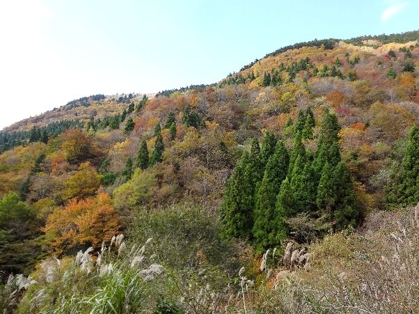 b0149340_2247692.jpg
